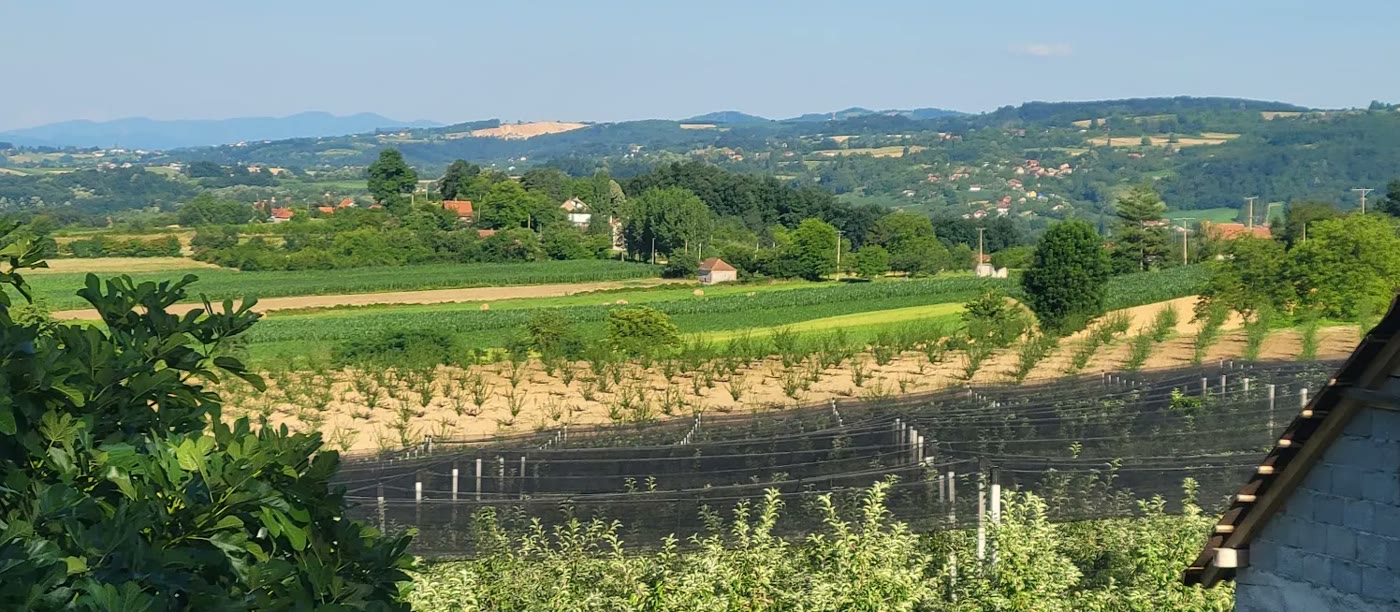 Pogled sa imanja na voćnjak i brda / View from the estate over the orchard and hills