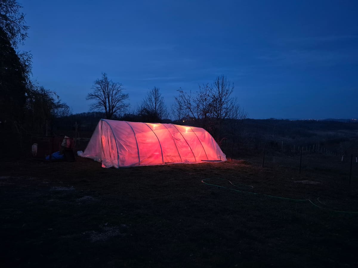 The heated nursery tunnel glowing on a cold March night