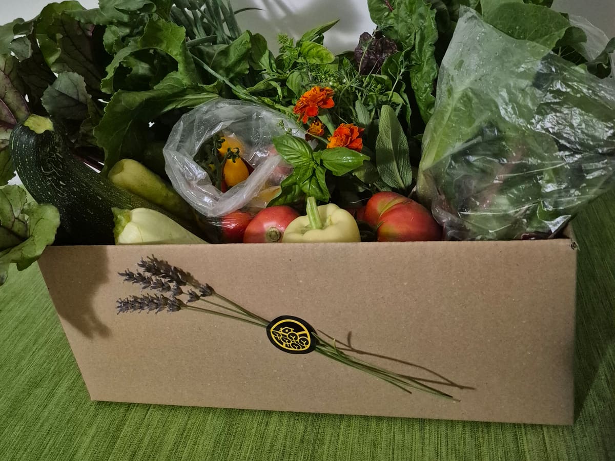 A ZETS box of fresh garden vegetables